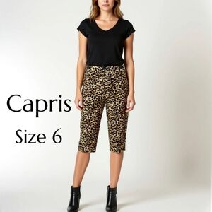 Briggs Wildcat Animal Print Pants Size 6